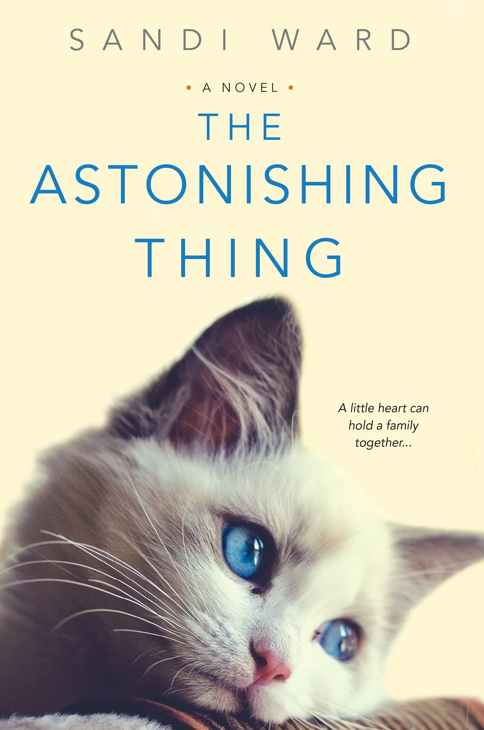 Meet Author Sandi Ward – The Astonishing Thing